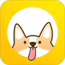 新追剧达人播放器